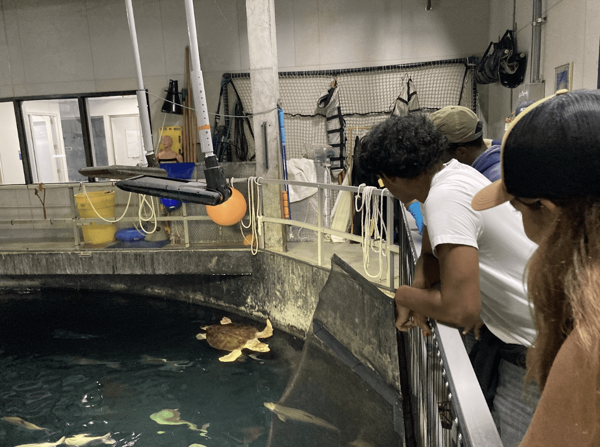 South Carolina Aquarium, Coastal Expeditions Foundation, LEAP, Coastal Expeditions Interns